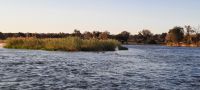 Namibia - Bootsfahrt auf dem Okavango