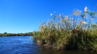 Namibia - Bootsfahrt auf dem Kwando