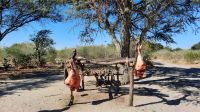 Namibia - Schlachter am Straßenrand