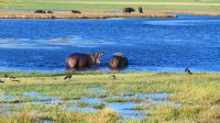 Botswana - Bootsfahrt auf dem Chobe