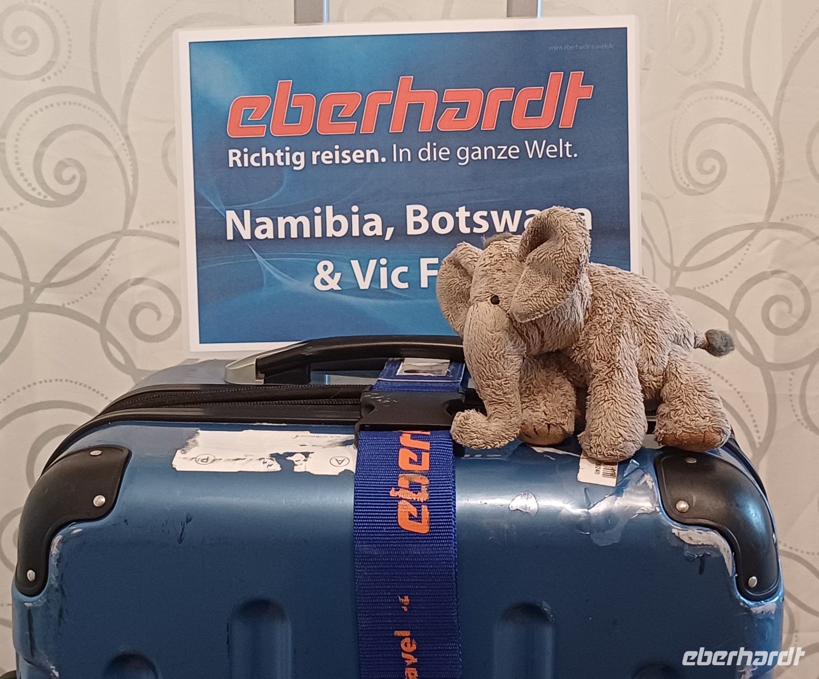 ...auf nach Afrika.jpg