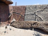 Camp Elephant Sands.jpg