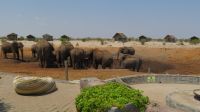 Elephant Sands Blick vom Pool.JPG