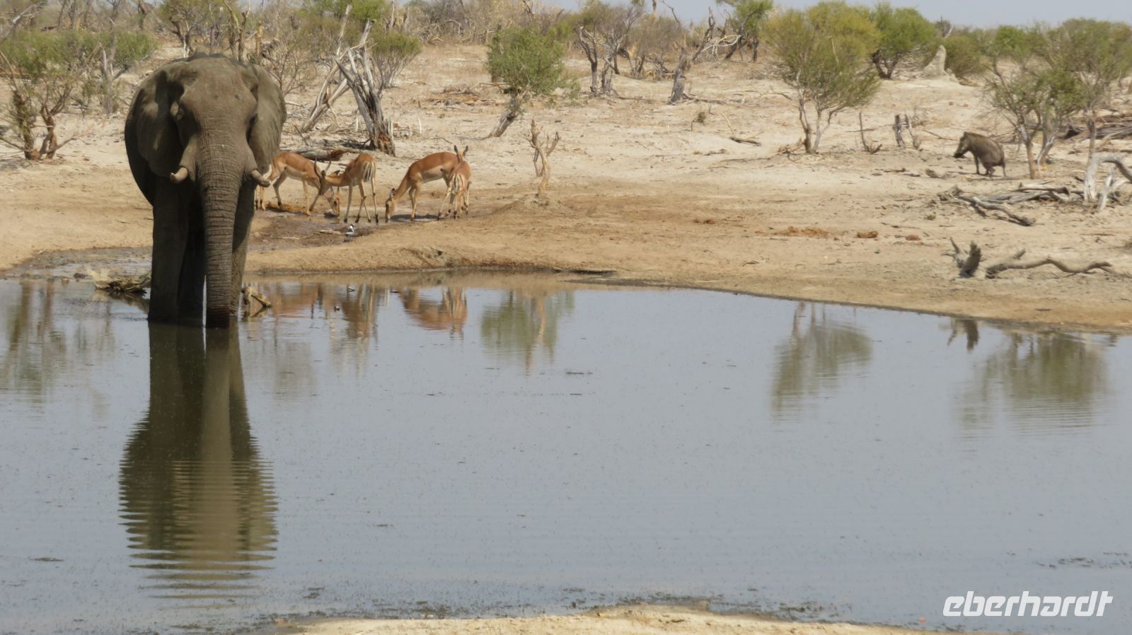 Idyll Elephant Sands.JPG