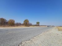 weiter geht es Richtung Maun.jpg