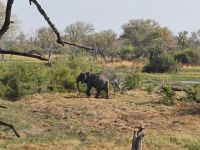 Shokomoka Futterplatz