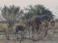 auf der Heimfahrt vom Sundowner