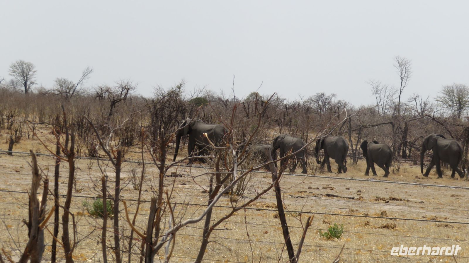 auf dem Weg nach Shokomoka