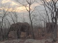 auf dem Weg in den Moremi NP.jpg