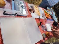Mittags-Picknick im Moremi.jpg