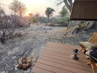 Shokomoka die Elis waren am Zelt.jpg