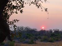 Sonnenuntergang Shokomoka.jpg