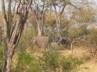 ...und geht fressen.jpg