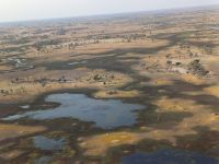 Heli-Flug Okavango Delta.jpg