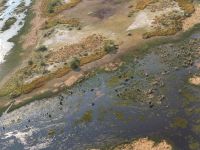 Heli-Flug Okavango Delta.jpg