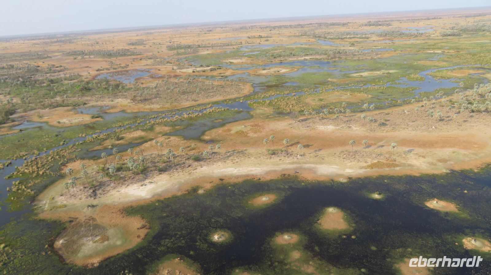 Heli-Flug Okavango Delta.JPG