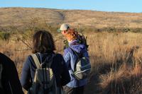 Morgenpirsch zu Fuß im Pilanesberg-Nationalpark