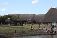 Oasis Zanzibar Lodge