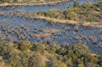 Flug über das Okavango-Delta