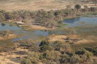 Flug über das Okavango-Delta