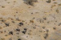 Flug über das Okavango-Delta