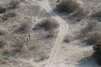 Flug über das Okavango-Delta