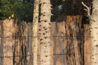 N´guma Island Lodge