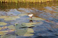 Bootsfahrt auf N´guma Island