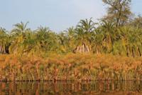 Bootsfahrt auf N´guma Island