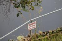 Achtung Hippos und Krokodile