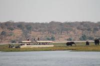 Pirschfahrt mit dem Boot im Chobe Nationalpark