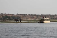 Pirschfahrt mit dem Boot im Chobe Nationalpark