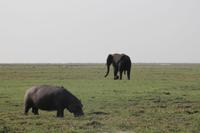 Pirschfahrt mit dem Boot im Chobe Nationalpark