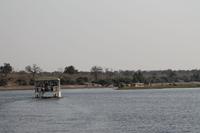 Pirschfahrt mit dem Boot im Chobe Nationalpark