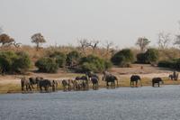Pirschfahrt mit dem Boot im Chobe Nationalpark