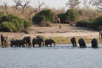 Pirschfahrt mit dem Boot im Chobe Nationalpark