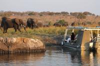 Pirschfahrt mit dem Boot im Chobe Nationalpark
