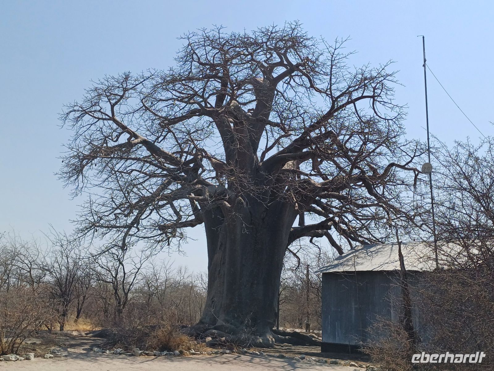 Baobab Planet