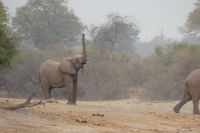 Bootstour Okavango
