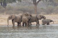 Bootstour Okavango
