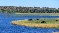 Botswana - Bootsfahrt auf dem Chobe