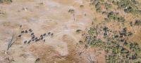 Botswana - Flug über das Delta mit Open Door Helicopters