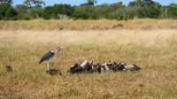 Botswana - Moremi - Morgengebet mit Pastor Marabu und seiner Gemeinde