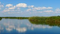Botswana - Shakawe - Bootsfahrt