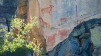 Botswana - Tsodilo Hills - Felsmalereien