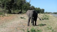 Botswana - Unterwegs nach Nata