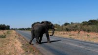 Botswana - Unterwegs nach Nata