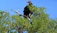 Botswana - auf dem Weg in den Busch