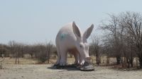 Erdferkel Baobab Planet