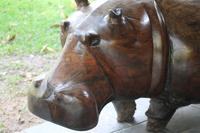 Hippo